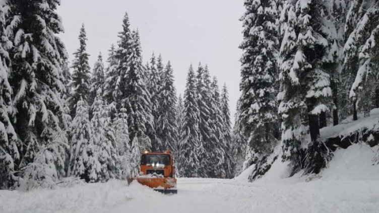 Снимка: БГНЕС