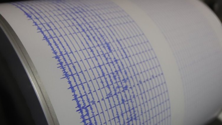 Снимка: архив, БГНЕС