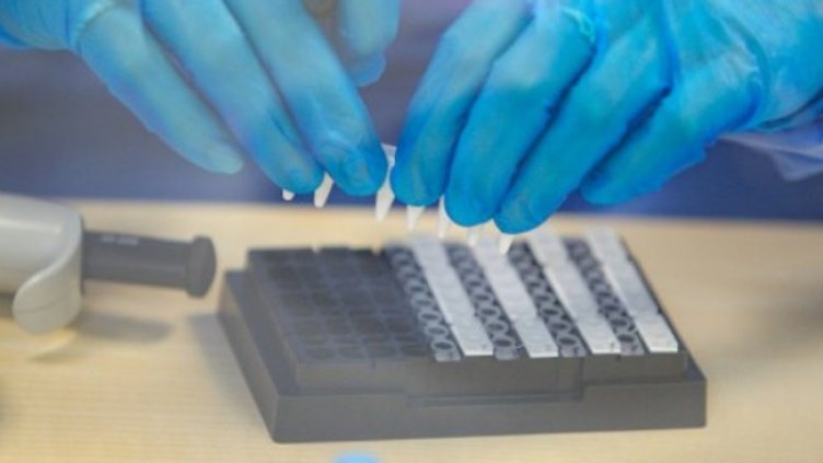 Снимка:Димитър Кьосемарлиев, Dnes.bg