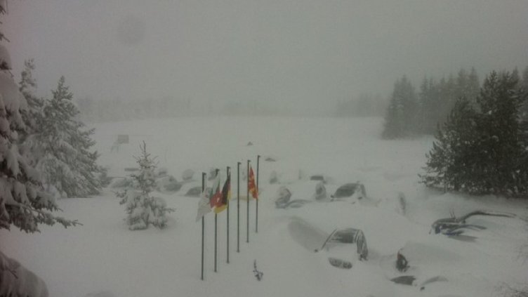 Снимка: БГНЕС