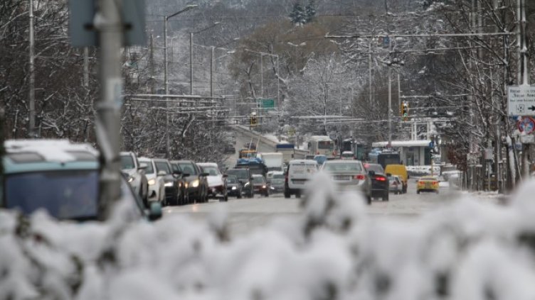 Снимка: БГНЕС