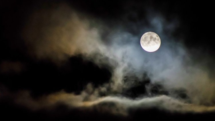 Снимка: Pexels