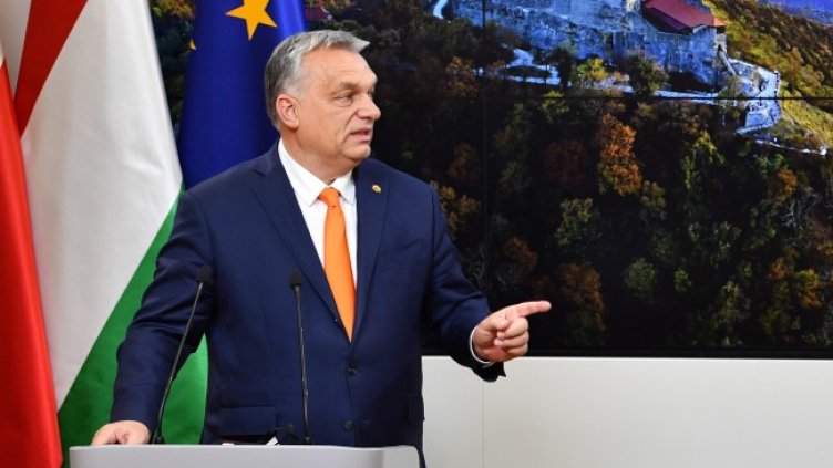 Снимка: архив, БГНЕС