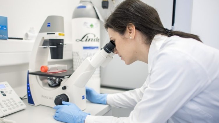 Снимка: БГНЕС