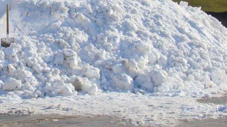 Снимка: БГНЕС, архив