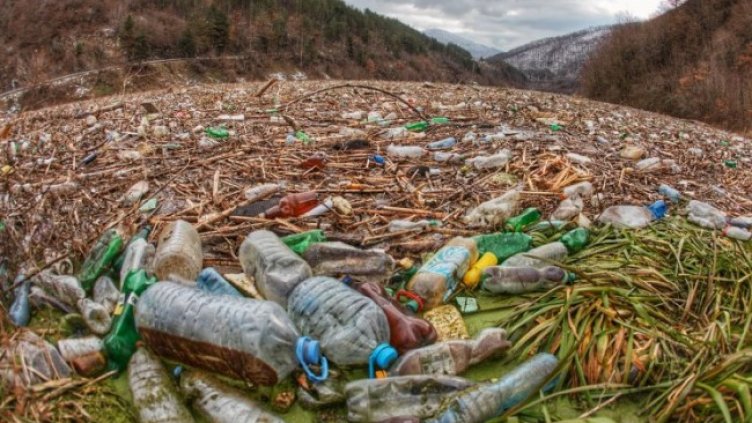 Снимка: Димитър Кьосемарлиев