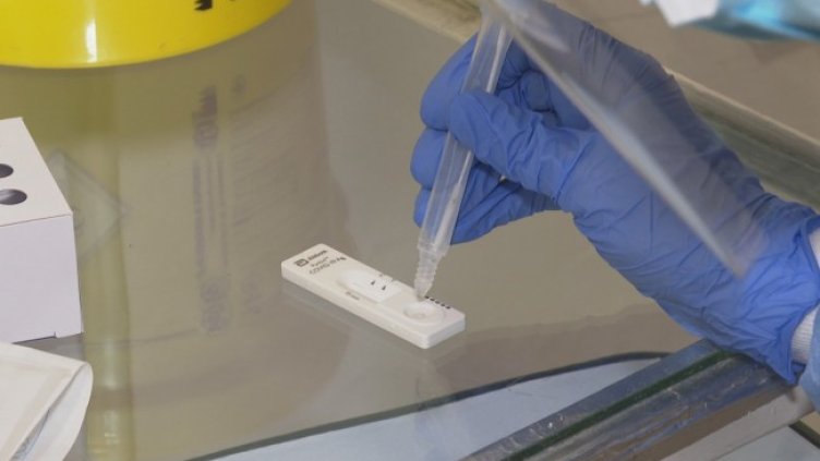 Снимка: БГНЕС