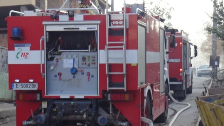 Снимка: БГНЕС