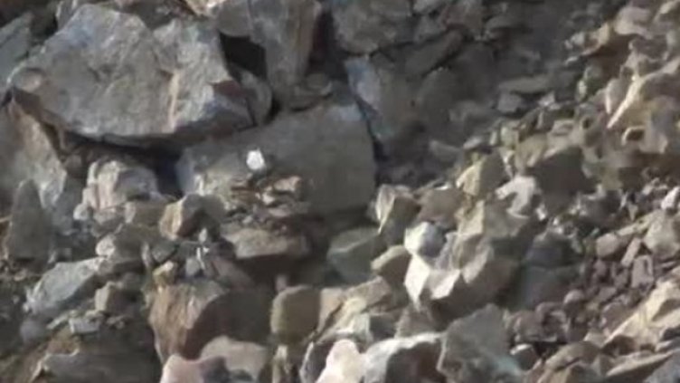 Снимка: Bulgaria ON AIR