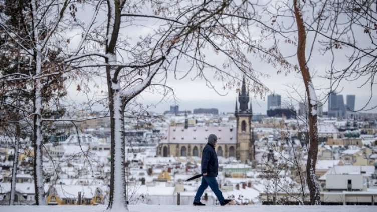 Снимка: архив, БГНЕС