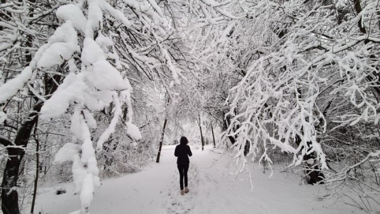 Снимка: БГНЕС