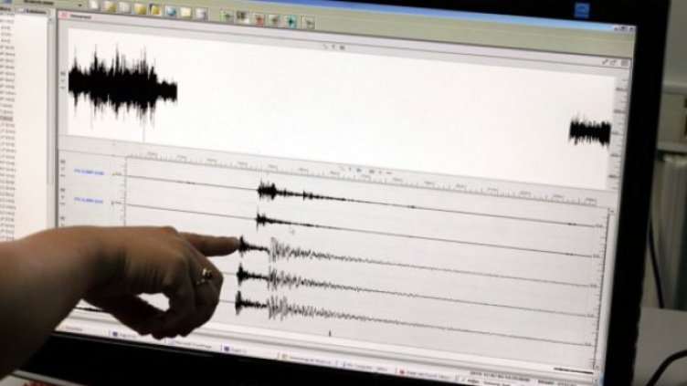 Снимка: архив, БГНЕС