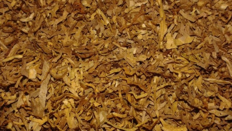 Снимка: Pixabay