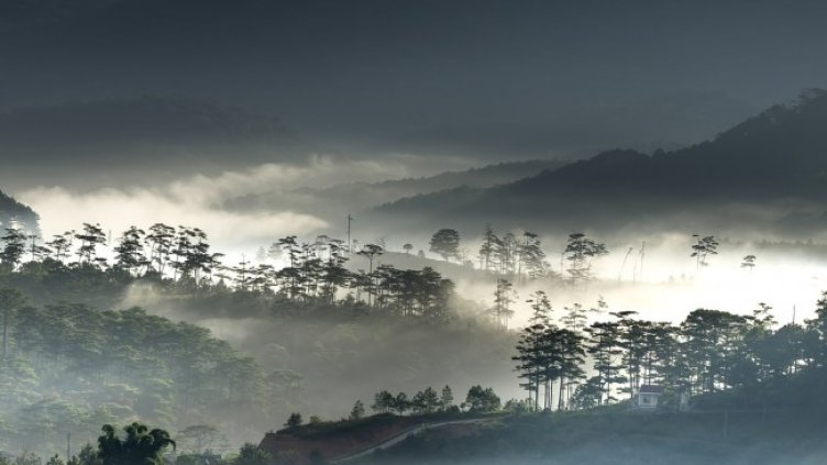 Снимка: Pixabay