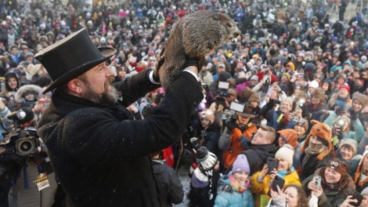 Снимка: архив, БГНЕС