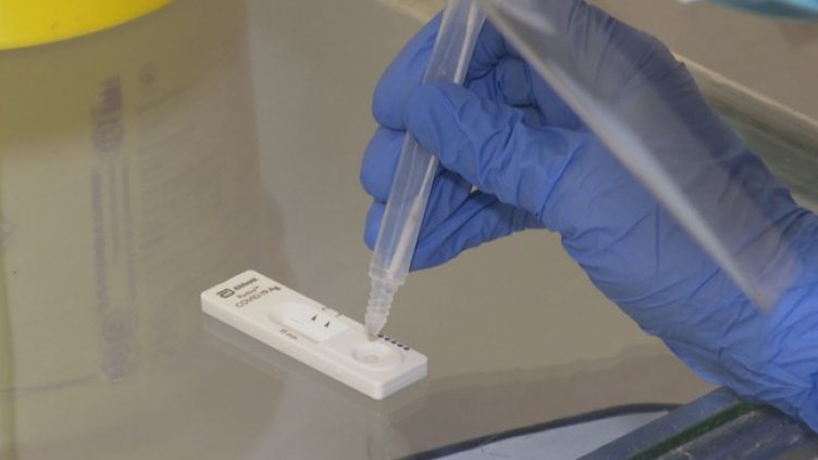 Снимка: БГНЕС