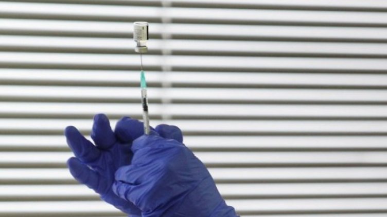 Снимка: Димитър Кьосемарлиев