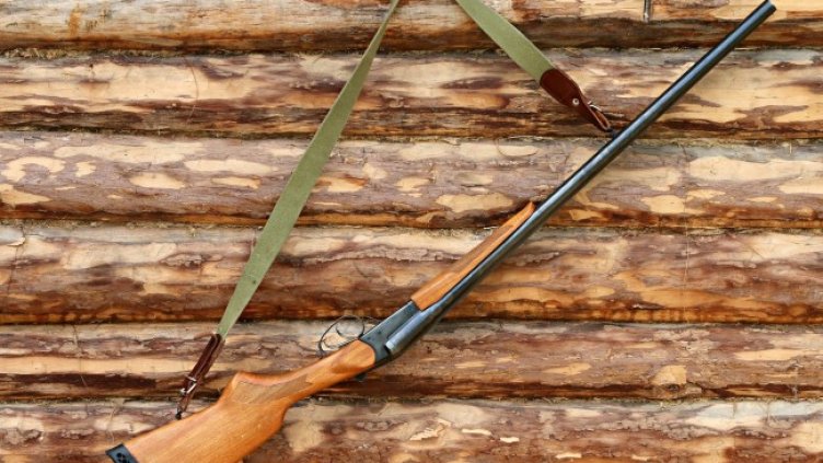 Снимка: Pixabay