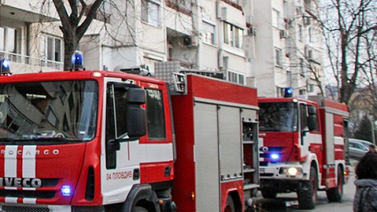 Снимка: БГНЕС, архив