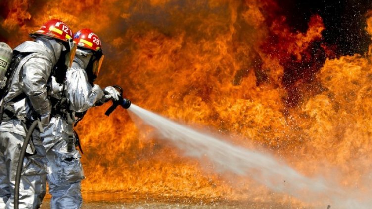 Снимка: Pixabay