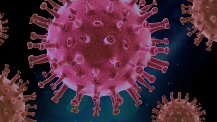 Снимка: Pixabay