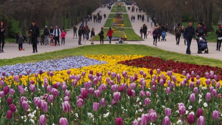 Снимка: БГНЕС