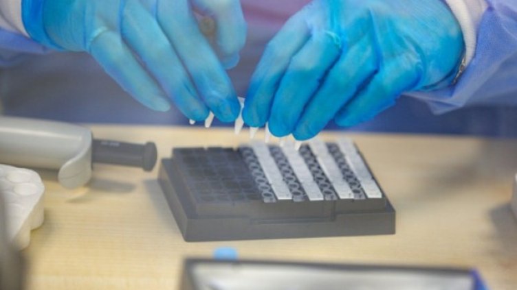 Снимка:Димитър Кьосемарлиев, Dnes.bg