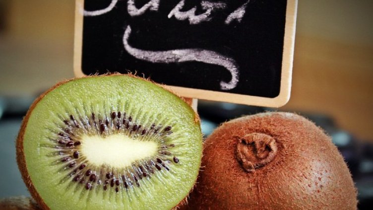 Снимка: Pixabay