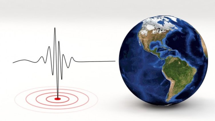 Снимка: Pixabay