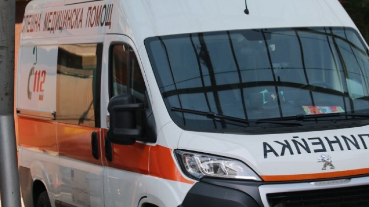 Снимка: архив, БГНЕС