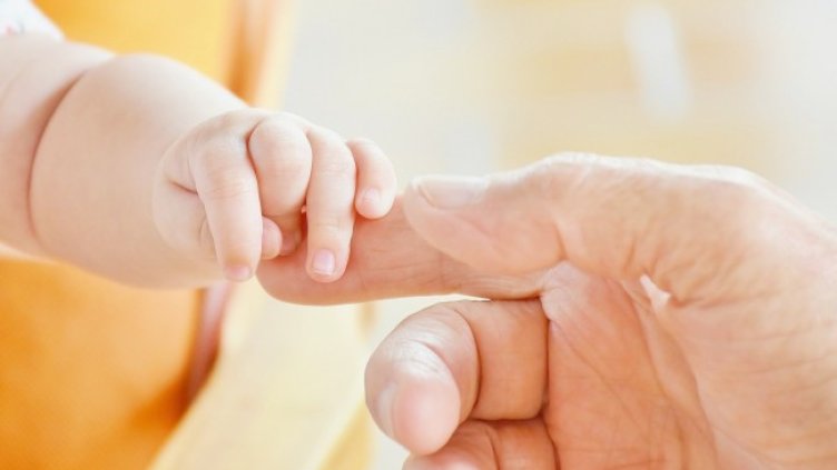 Снимка: Pixabay