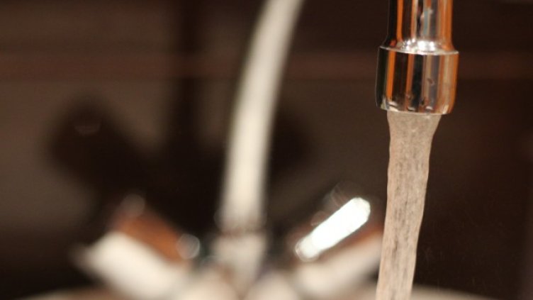 Снимка: архив, БГНЕС