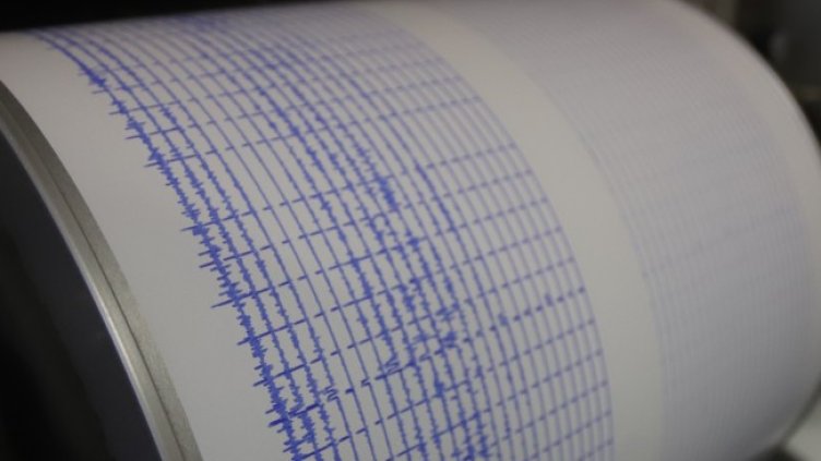 Снимка: архив, БГНЕС