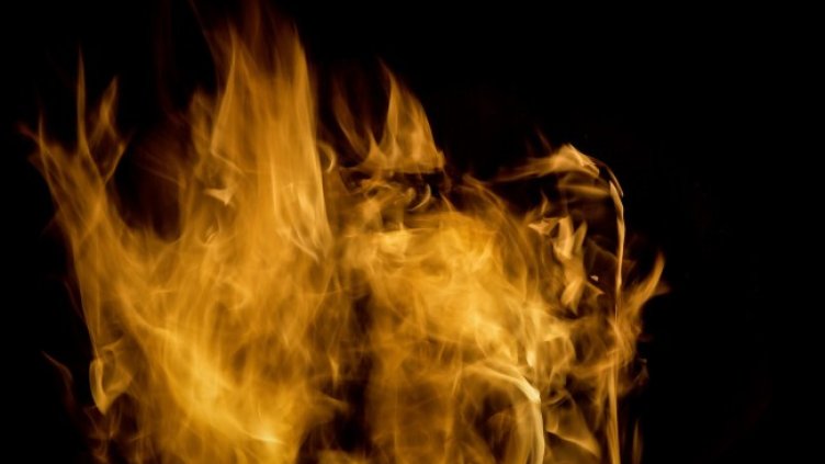 Снимка: Pixabay