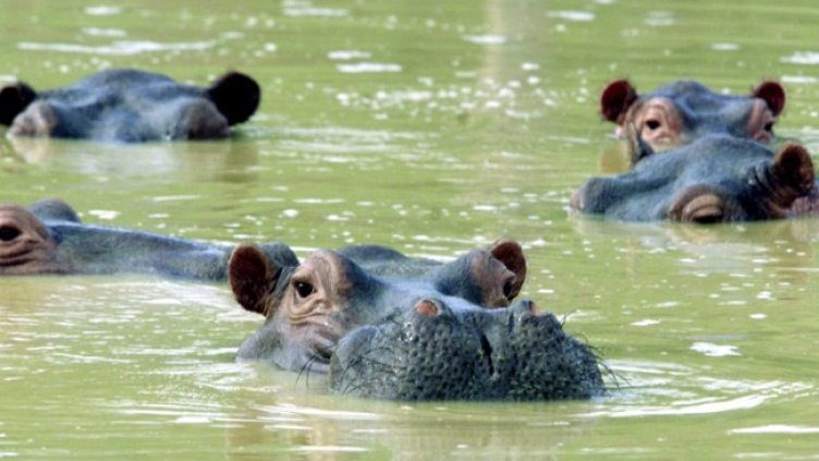 Снимка: Flickr