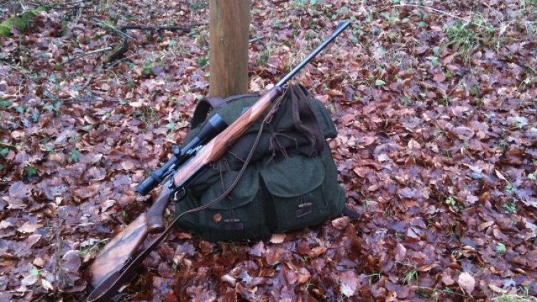 Снимка: Pixabay