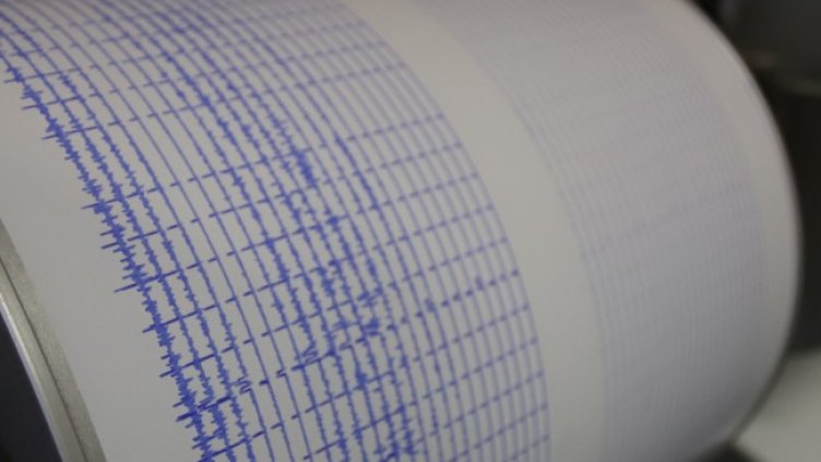 Снимка: архив, БГНЕС