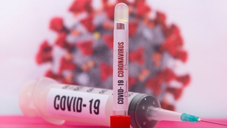 Снимка: Pixabay