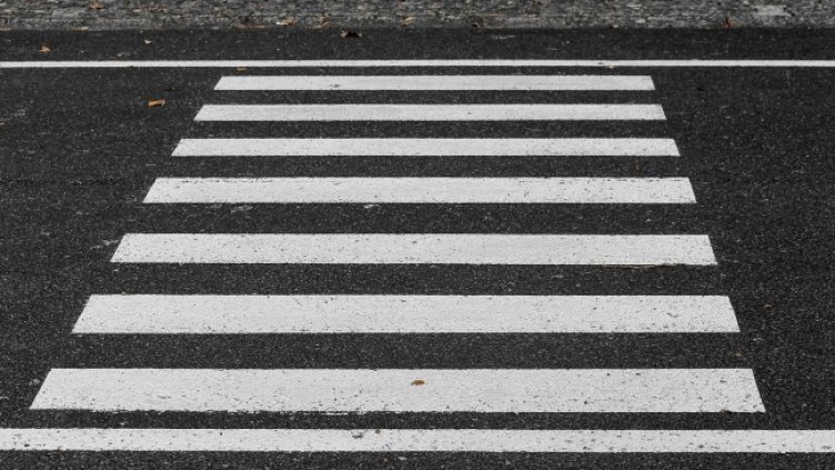 Снимка: Pixabay