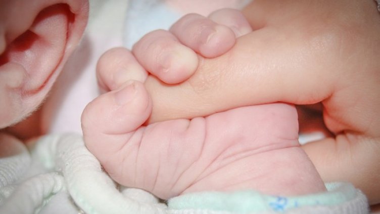 Снимка: Pixabay