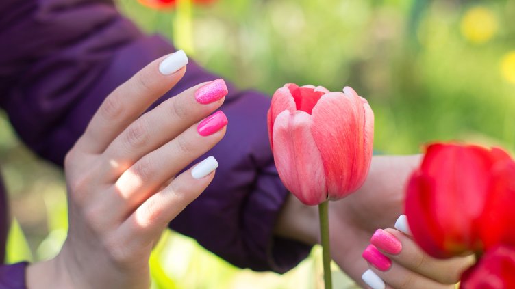 Снимка: iStock/Galina Kiseleva