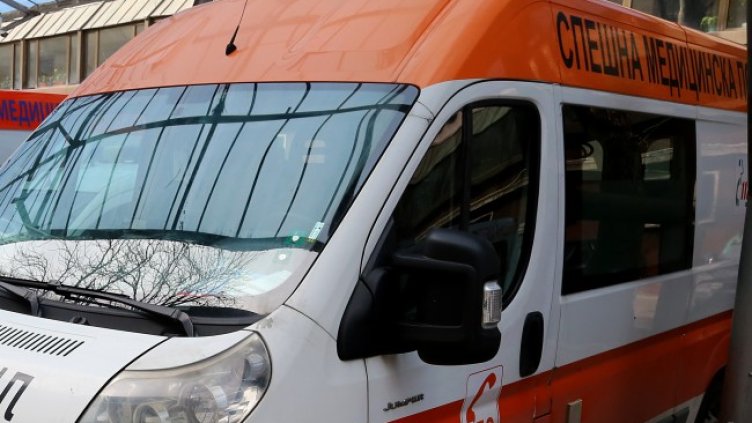 Снимка: архив, БГНЕС