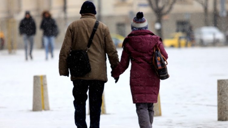 Снимка: БГНЕС