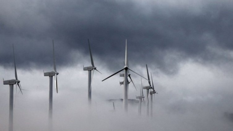 Снимка: архив, БГНЕС