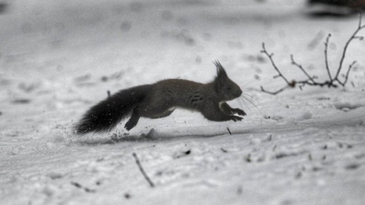 Снимка: Димитър Кьосемарлиев, Dnes.bg