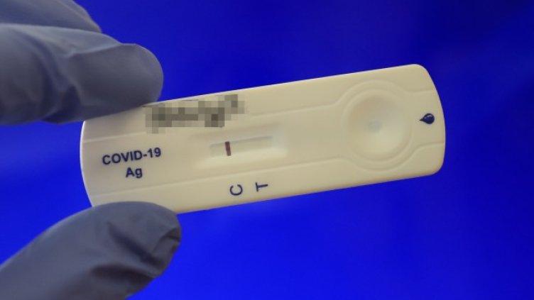 Снимка: архив, БГНЕС