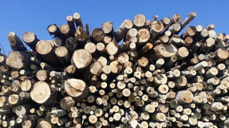 Снимка: БГНЕС, архив