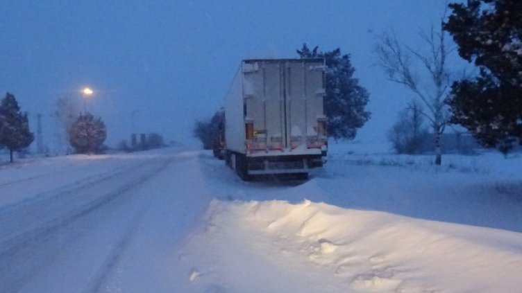 Снимка: архив, БГНЕС