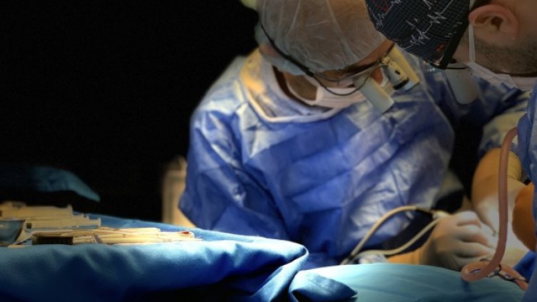 Източник: MEDICAL DENT
Източник: MEDICAL DENT