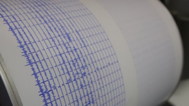 Снимка: архив, БГНЕС